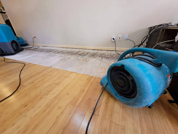 Professional Water Damage Repair technician working in Audubon, IA